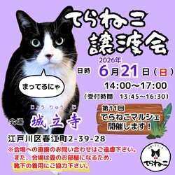 【第25回】てらねこ譲渡会