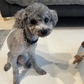 クリクリおめめがチャームポイントの男の子