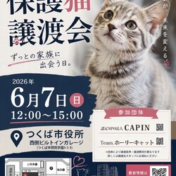 つくば市役所　保護猫譲渡会