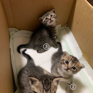 おばあさんの家で産まれました