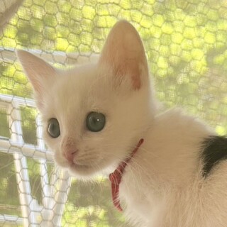 遊ぶのが大好きcuteな女の子❤️ラナン