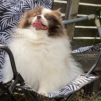 らむ