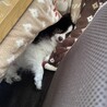 の写真