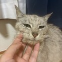 とっても甘えん坊のお姉さん