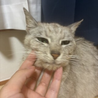とっても甘えん坊のお姉さん