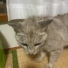 とっても甘えん坊のお姉さん サムネイル2