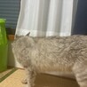 とっても甘えん坊のお姉さん サムネイル3