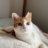障害があっても強くいきる女の子 サムネイル3