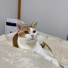 障害があっても強くいきる女の子 サムネイル7