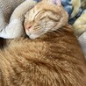 名前を呼ぶとお返事してくれる愛嬌たっぷりの男の子 サムネイル3
