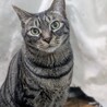 猛烈人懐っこい甘えん坊兄弟 サムネイル4