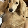 むーたろまま