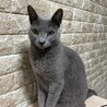 みゆき真秀