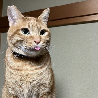 名前を呼ぶとお返事してくれる愛嬌たっぷりの男の子