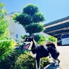 ポチくん サムネイル5