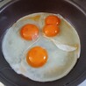 しまぷぷ