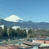 向日葵１ さん