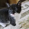 授乳～超人懐こくて超甘えん坊のカワ君 サムネイル2