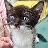 授乳～超人懐こくて超甘えん坊のカワ君 サムネイル3