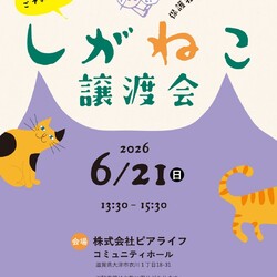 しがねこ譲渡会