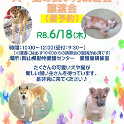 犬・猫の飼い方講習会・譲渡会 サムネイル1