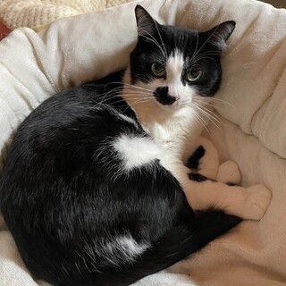 クリクリおめめ♡小柄なジュジュちゃん