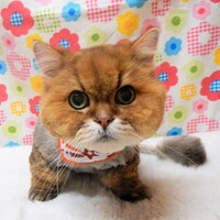 デニーロ