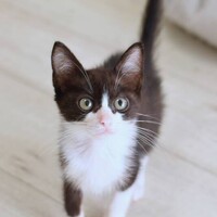 ピーチ