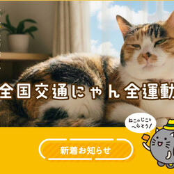 イエローハット太田店　保護猫譲渡会