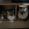 タクミナーズ