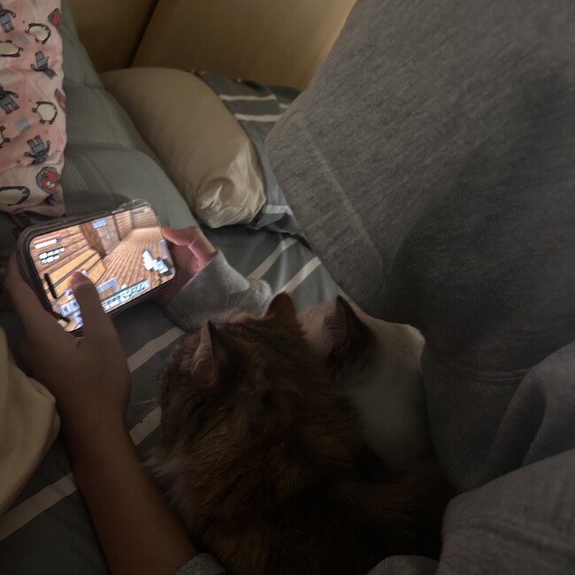 タクミナーズのカバー写真