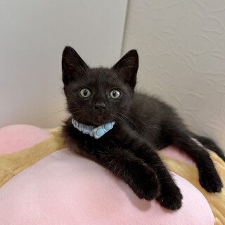 ほんわか♡穏やかな男の子