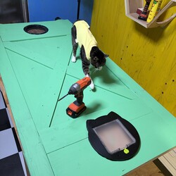 トムさん、無事に退院