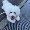 生涯大事にしてくれる人を探しています