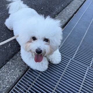 生涯大事にしてくれる人を探しています