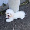 生涯大事にしてくれる人を探しています サムネイル2