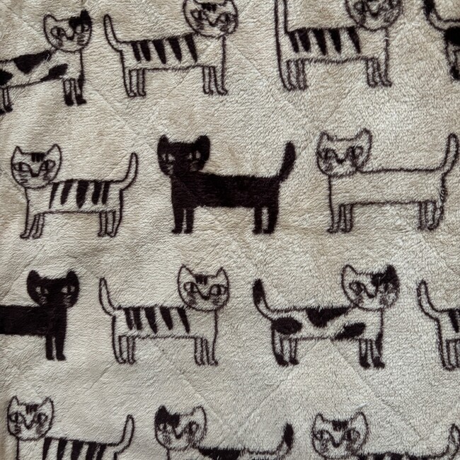 11ぴきのねこのカバー写真