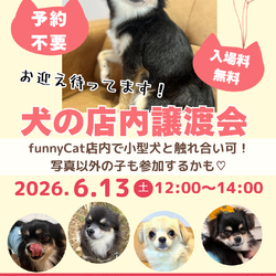 犬の店内ふれあい譲渡会