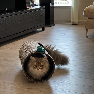 の写真
