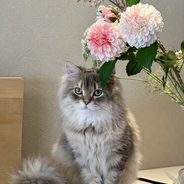 の写真