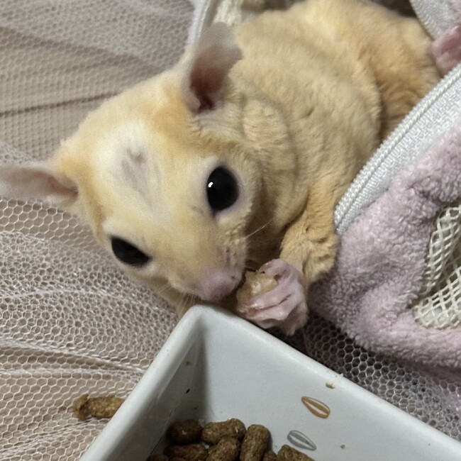 k.shotaのカバー写真
