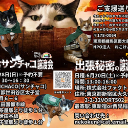 ねこけんサンチャコ譲渡会（三軒茶屋）
