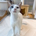 【パンダくん】かまちょな男の子！