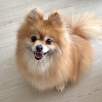 Milla・ミラ