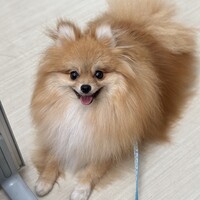 Maya・まや