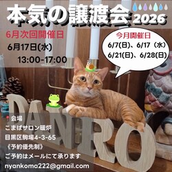 本気の譲渡会 サムネイル1