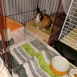 イエン君が家に来ました！