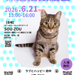 6月21日｛ラブとハッピー府中 保護猫譲渡会｝