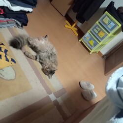 歯磨きトレーニング中！