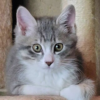 甘えん坊の男の子